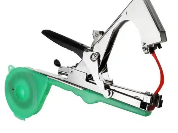 Aparat Legat Vita de Vie, Legume, Pomi Fructiferi