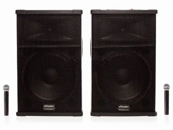 Set boxe viliodor 2005 profesional , 2 Microphone wireless