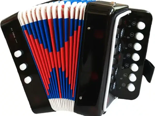 acordeon pentru copii cu 14 tonuri 7 clape si 3 basi curele de prindere 17 x 10 x 17 cm multicolor
