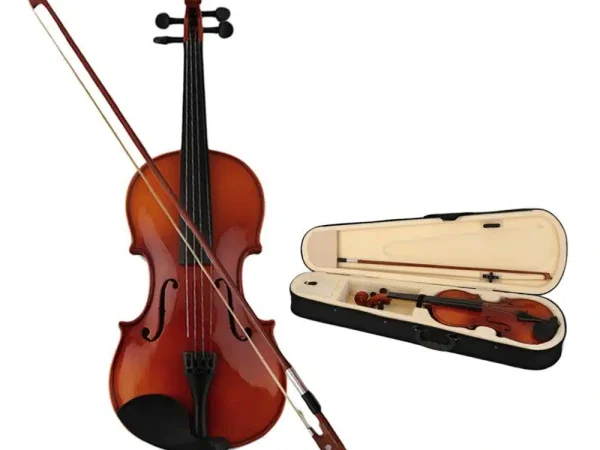 Vioara cu Husa , marime 4/4 , Deluxe Edition