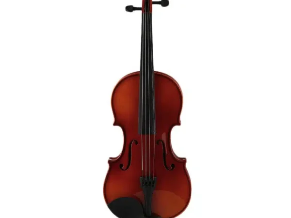 Vioara cu Husa marime 3/4