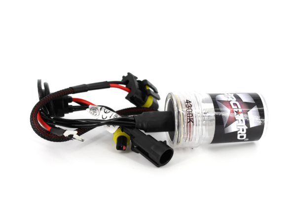 Bec Xenon H11-4,3K - CARGUARD