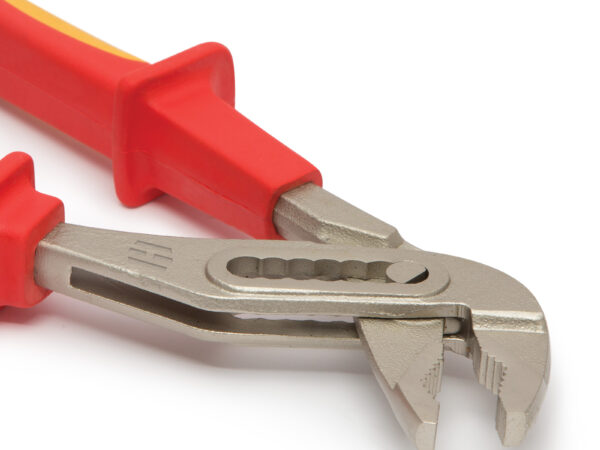 Cleste papagal, 250 mm