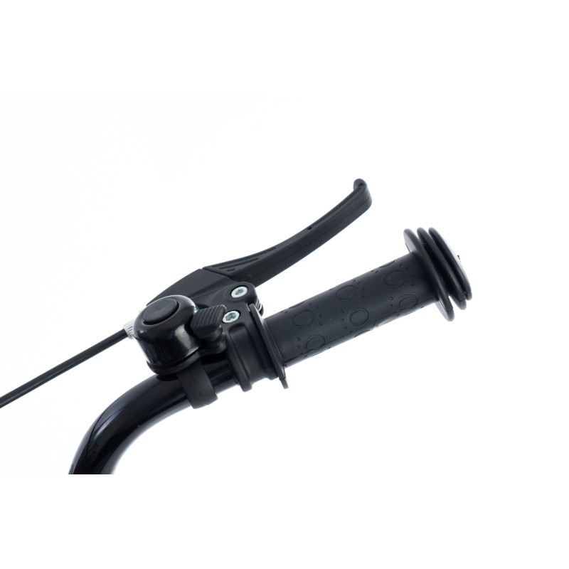 Bicicleta pentru copii, 12“, BIC12V (verde) - imagine 15