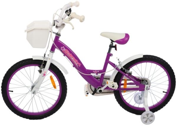 Bicicleta pentru copii, 20“, BIC20MOV (mov)
