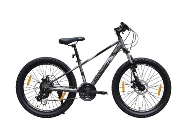 Bicicleta Cliff 24inch, CLIF24G (gri)